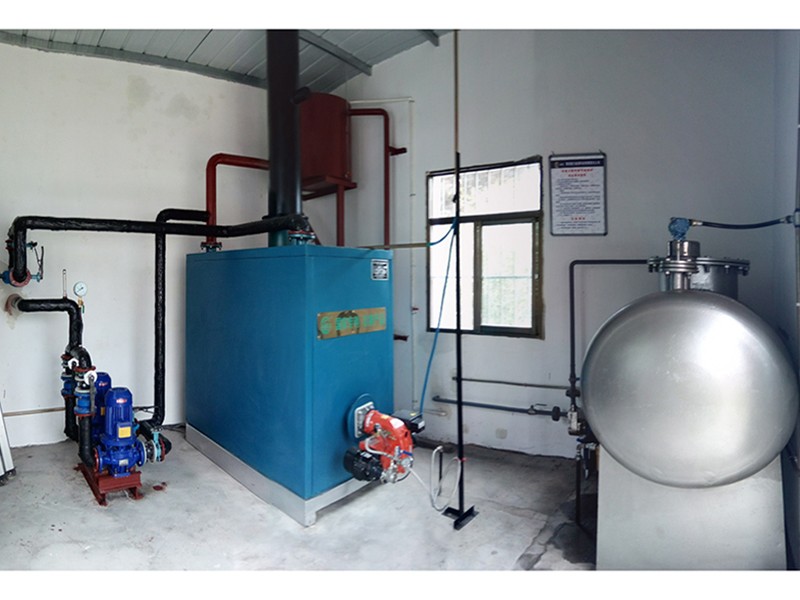 甲醇鍋爐安裝案例