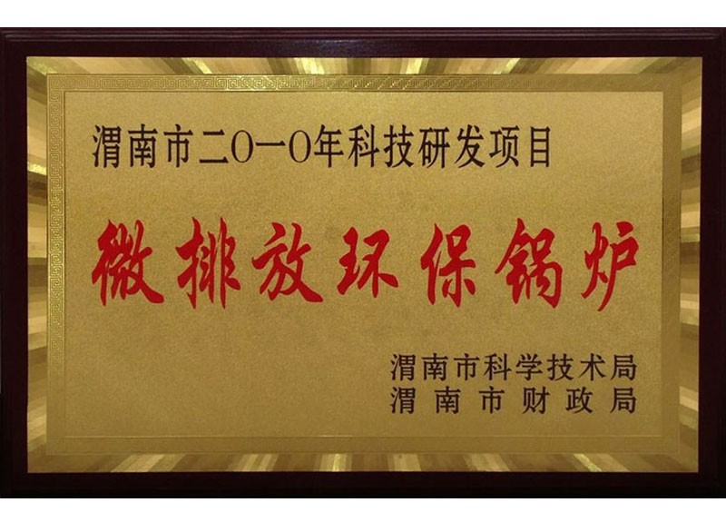 微排放環(huán)保鍋爐