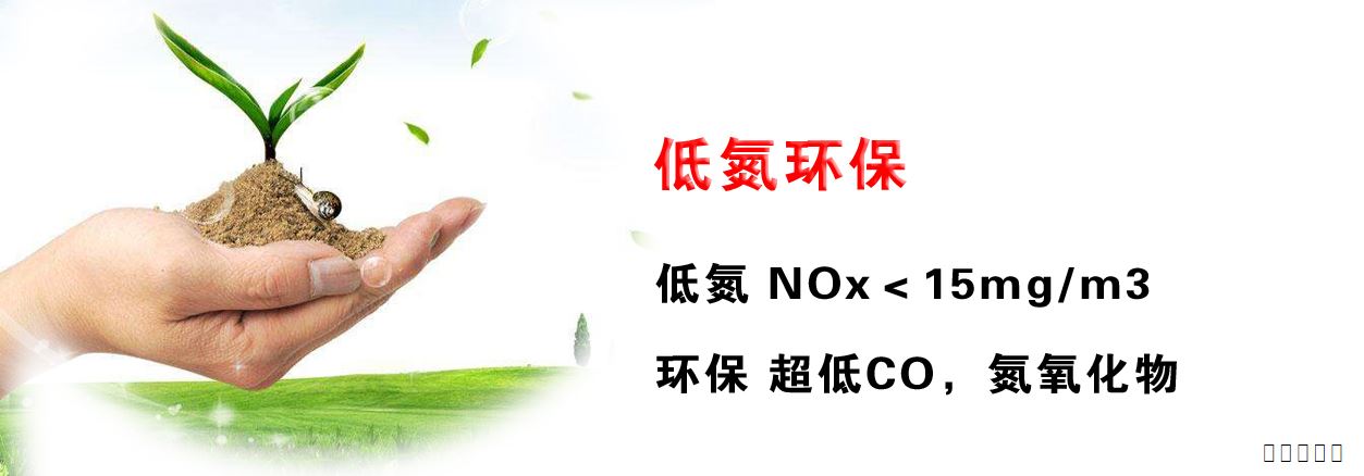 全預(yù)混冷凝低氮燃?xì)饽K鍋爐